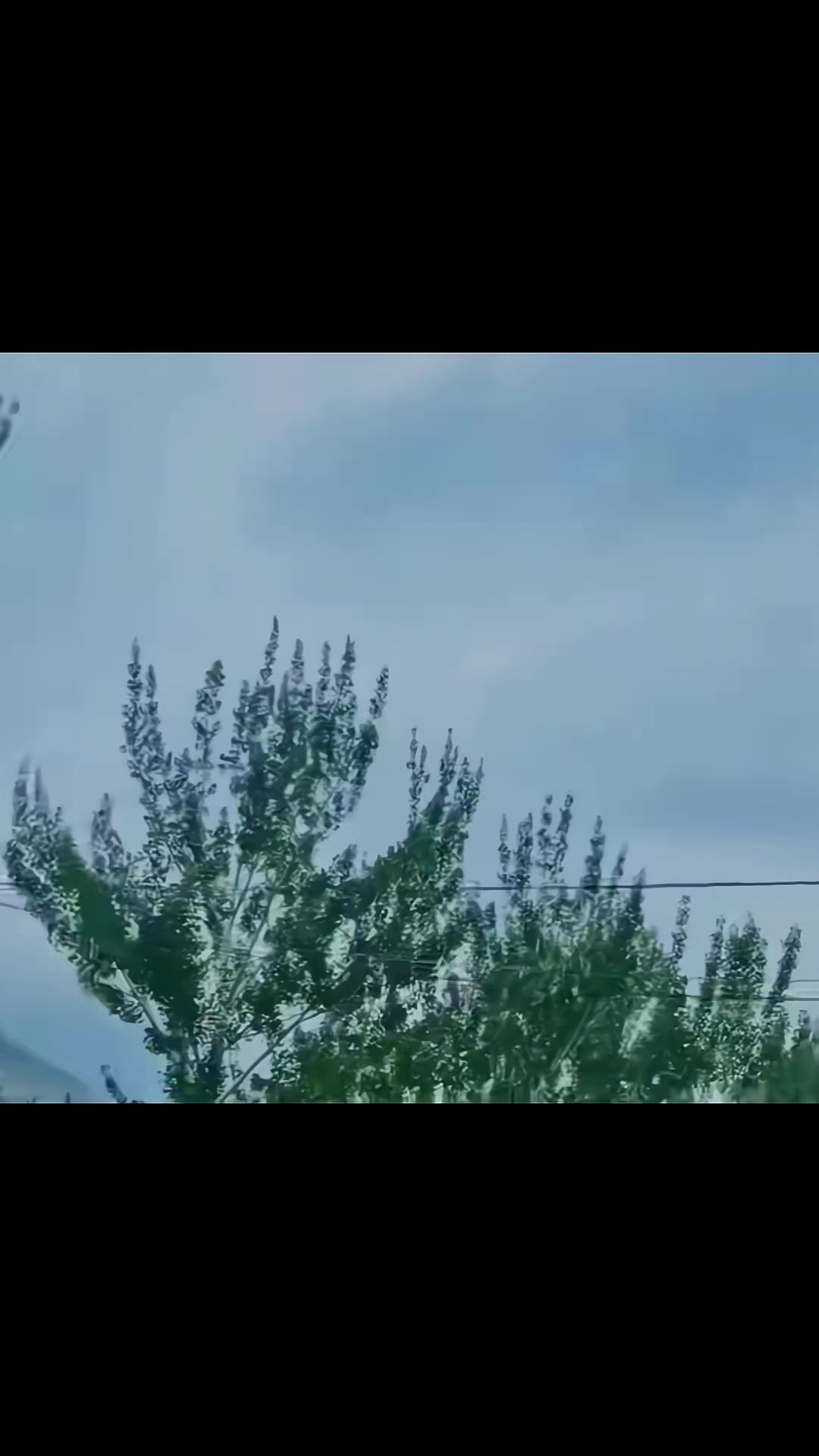 @مہر بادشاہ 🤬😈💢🔞