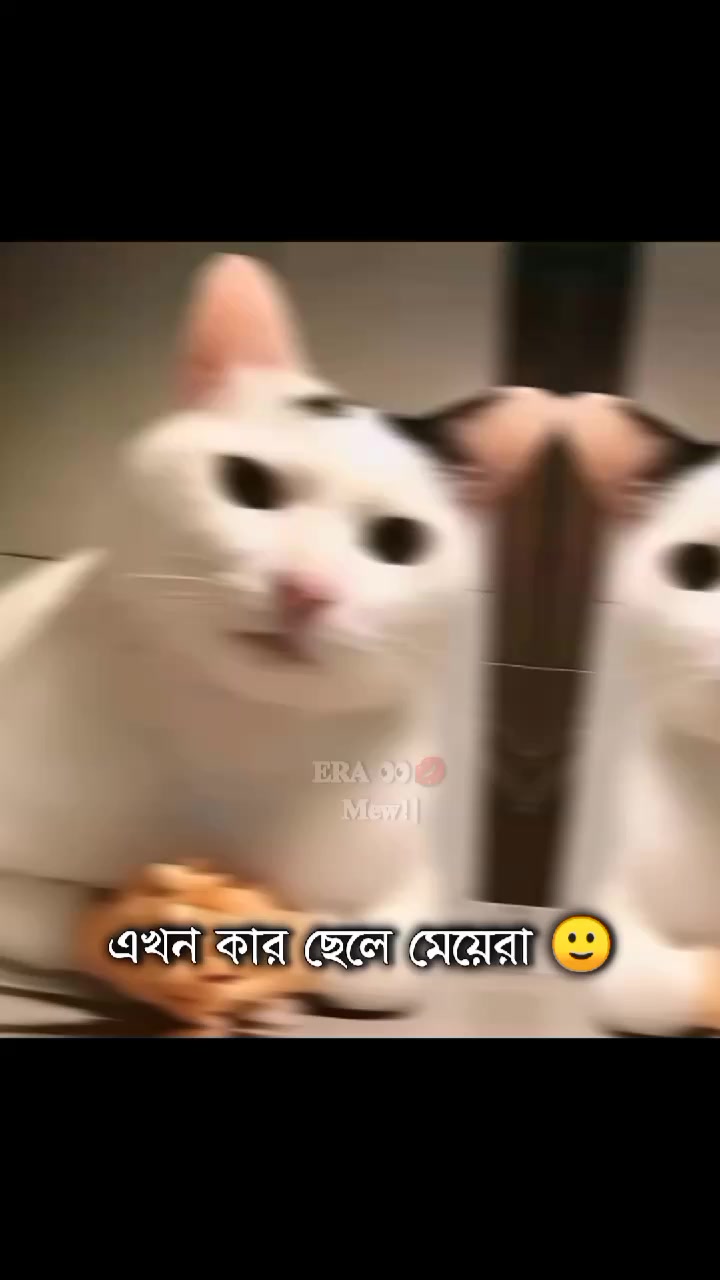 @ᯓ𝐄𝐫𝐚 𝐌𝐢𝐮ᥫ᭡