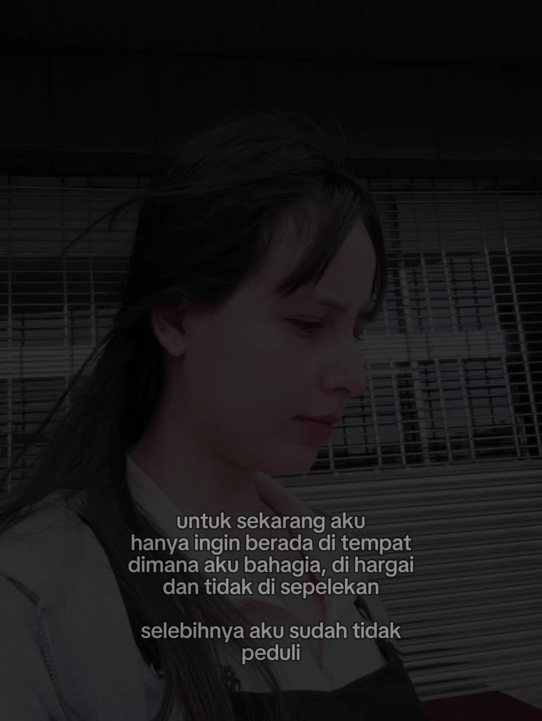 @dewipus.