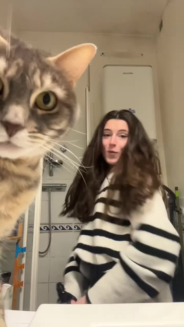 @Le_drama.cat 🇫🇷