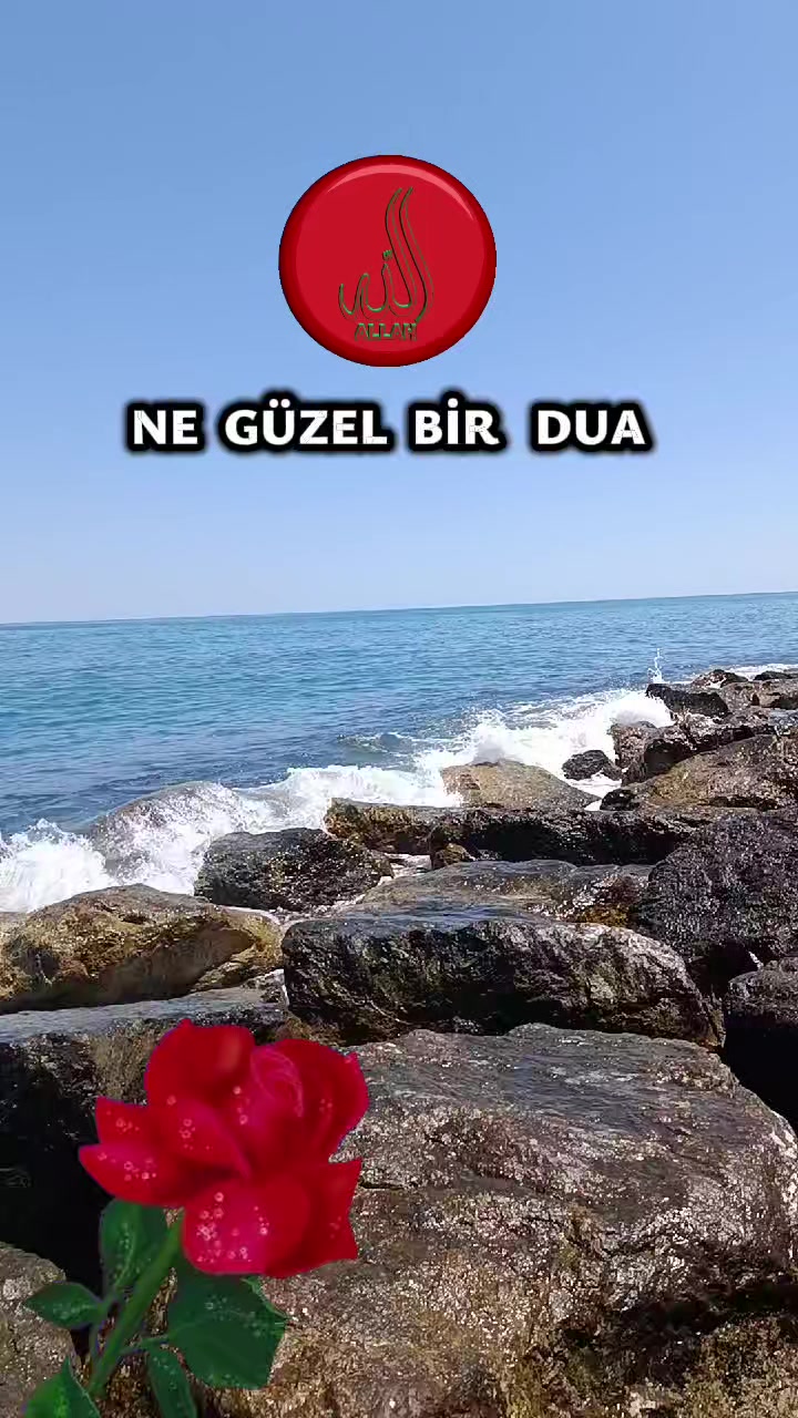 @@hayatsevinceguzel5537