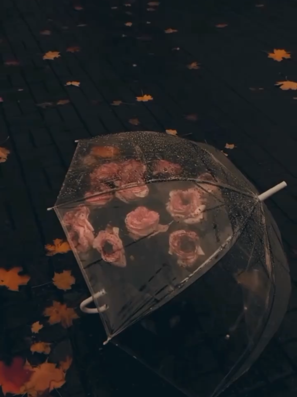 @🥀𝕼𝖆𝖎𝖗𝖆_𝕾𝖞𝖆𝖋𝖆𝖆🥀