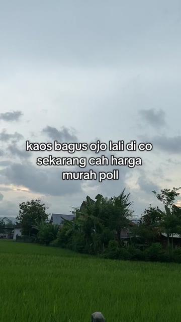 @dapaaa