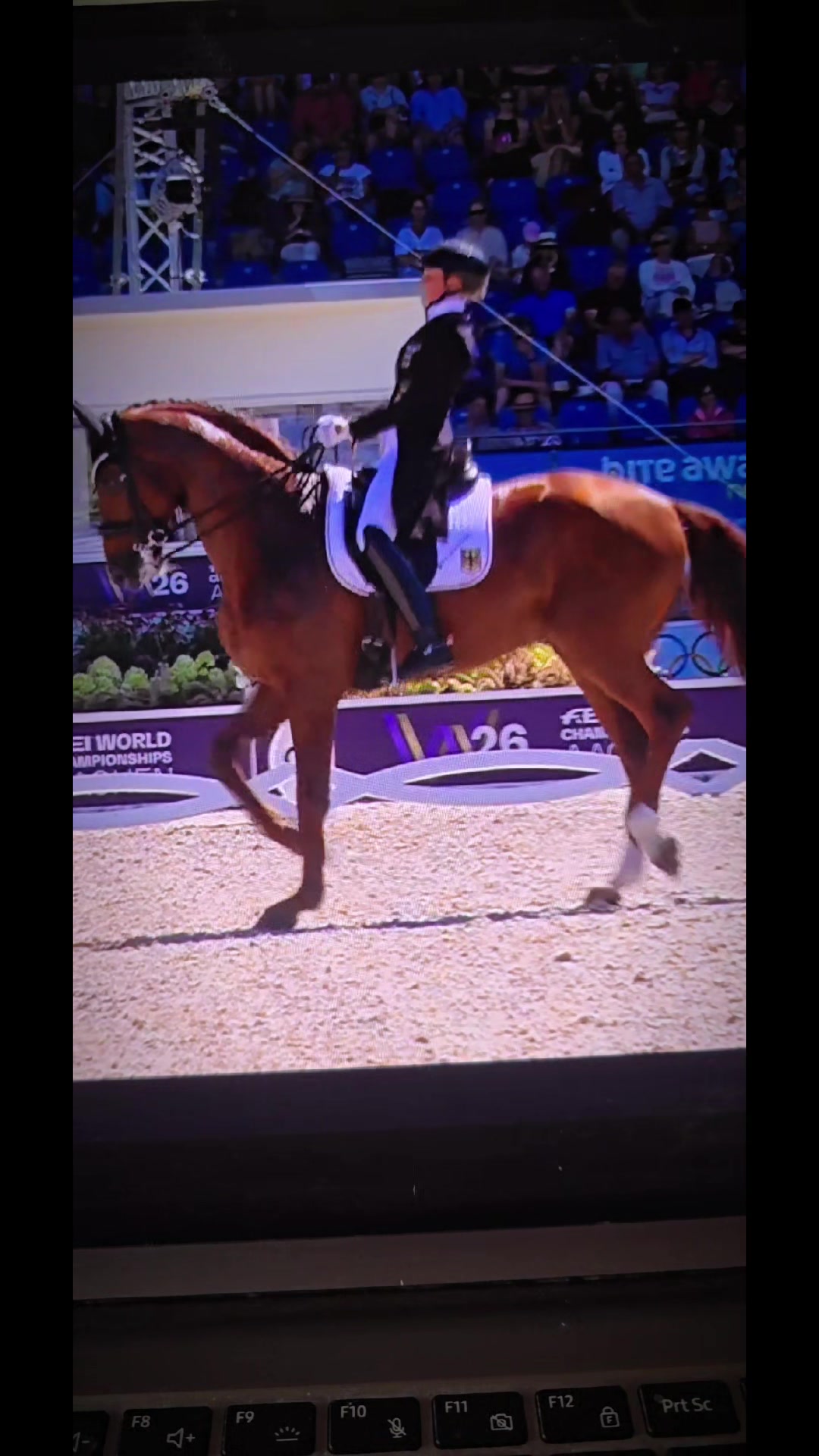 @DressageHub