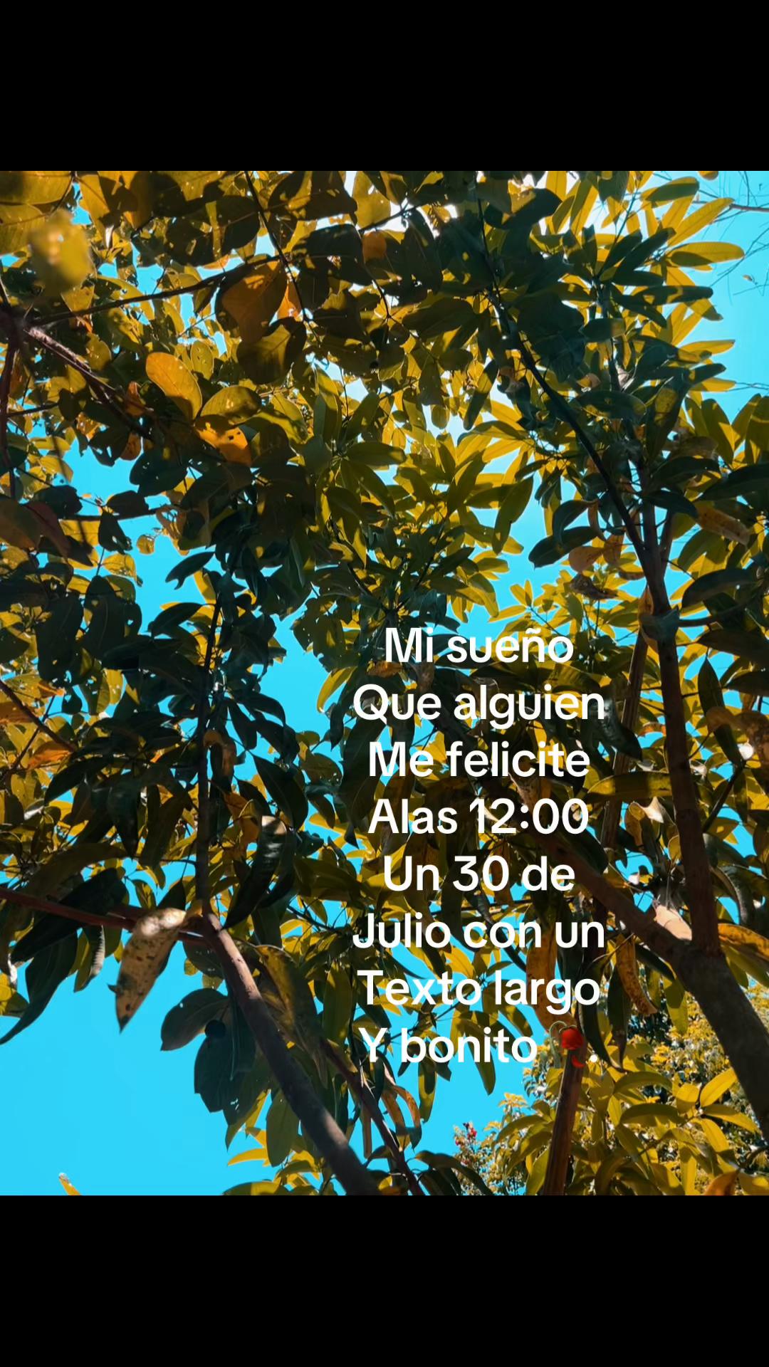 @⭐️Dilancito⭐️