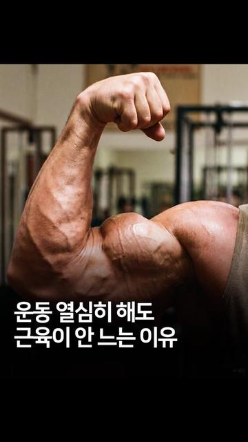 @헬창햄