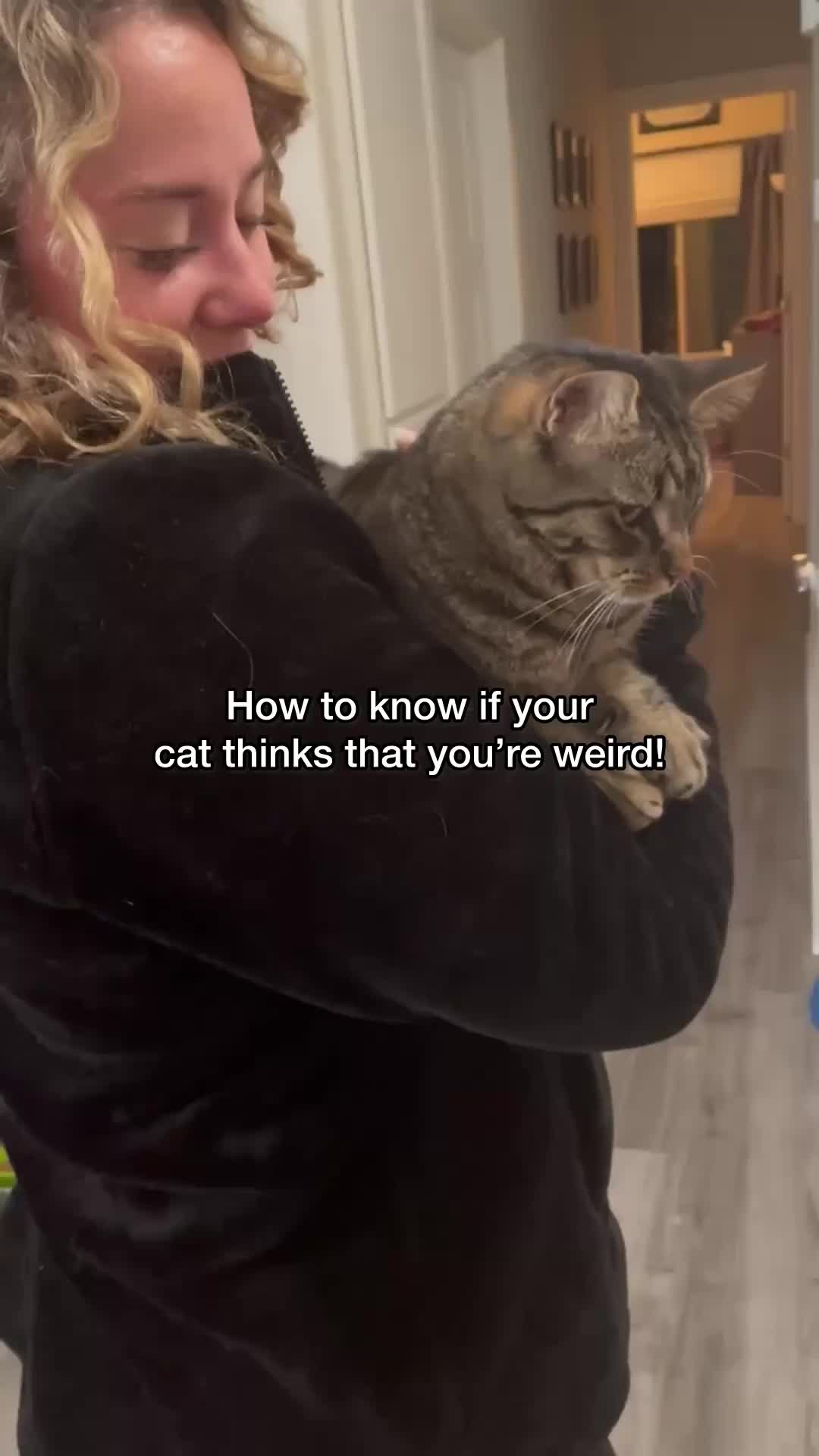 @Chip The Manx