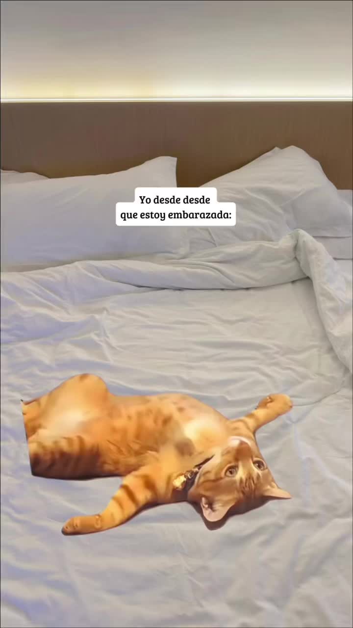 @Victoria Gil