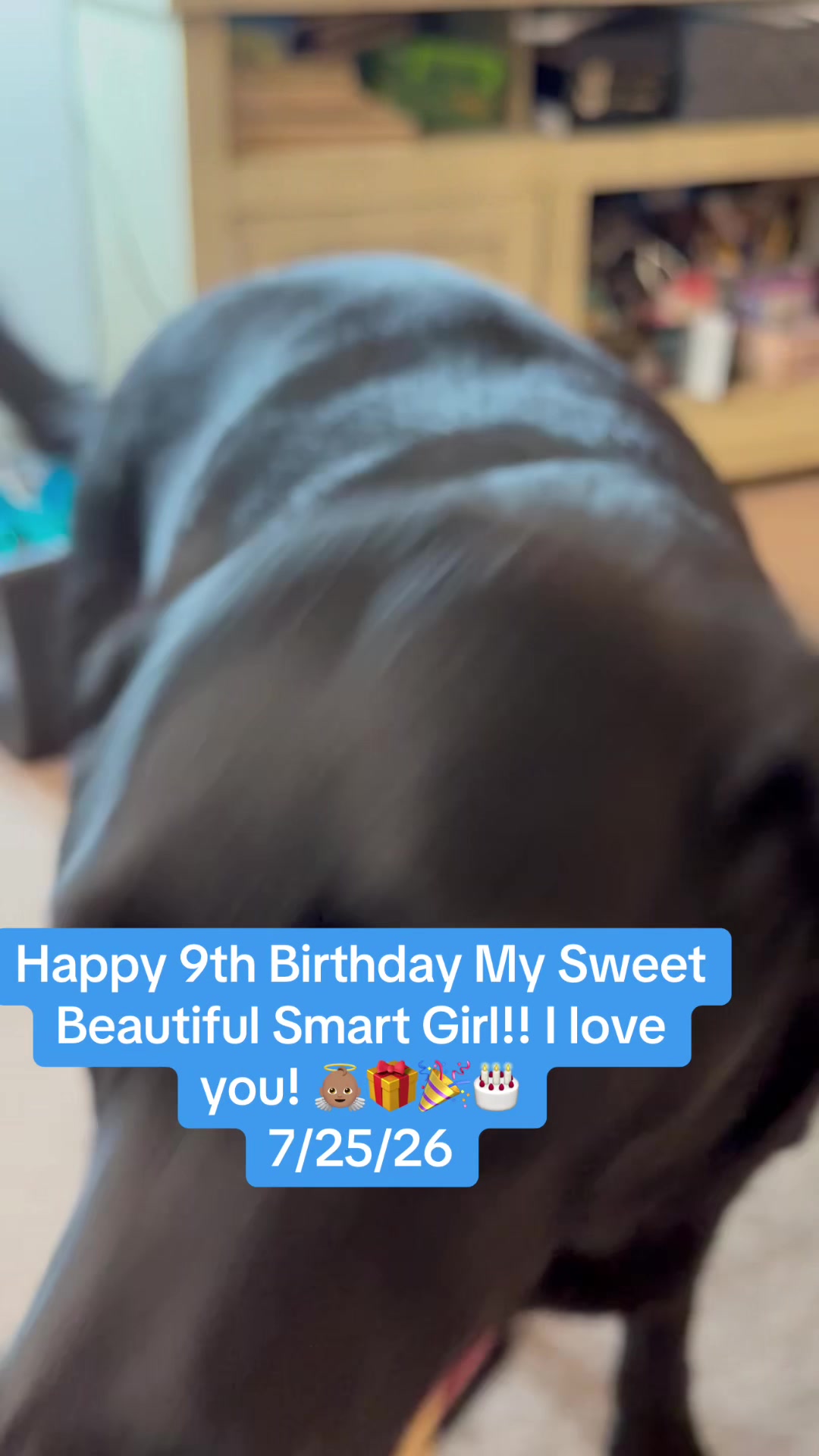@Invisibleark🏹🐢🪶🦅