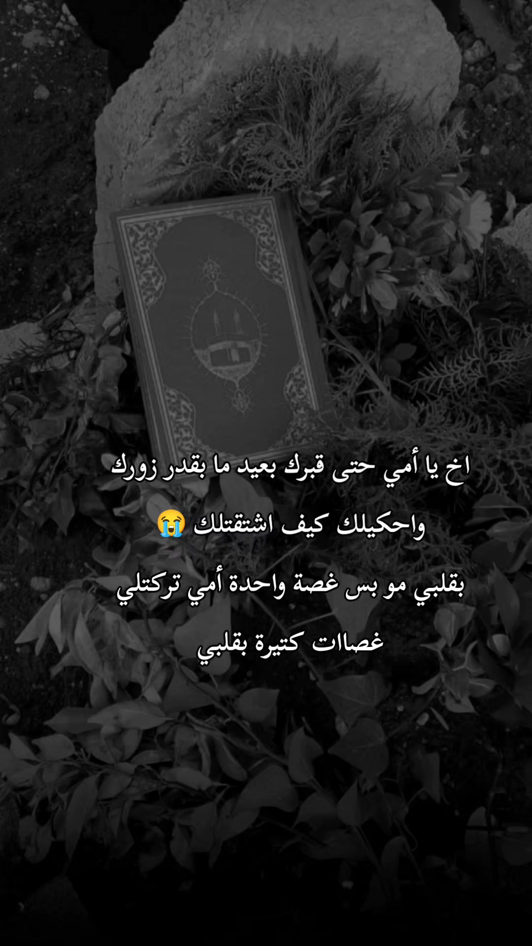@🦋فـ❣ـہوُفـ❣ـہوُ || ℱ𝒪 ℱ𝒪🦋