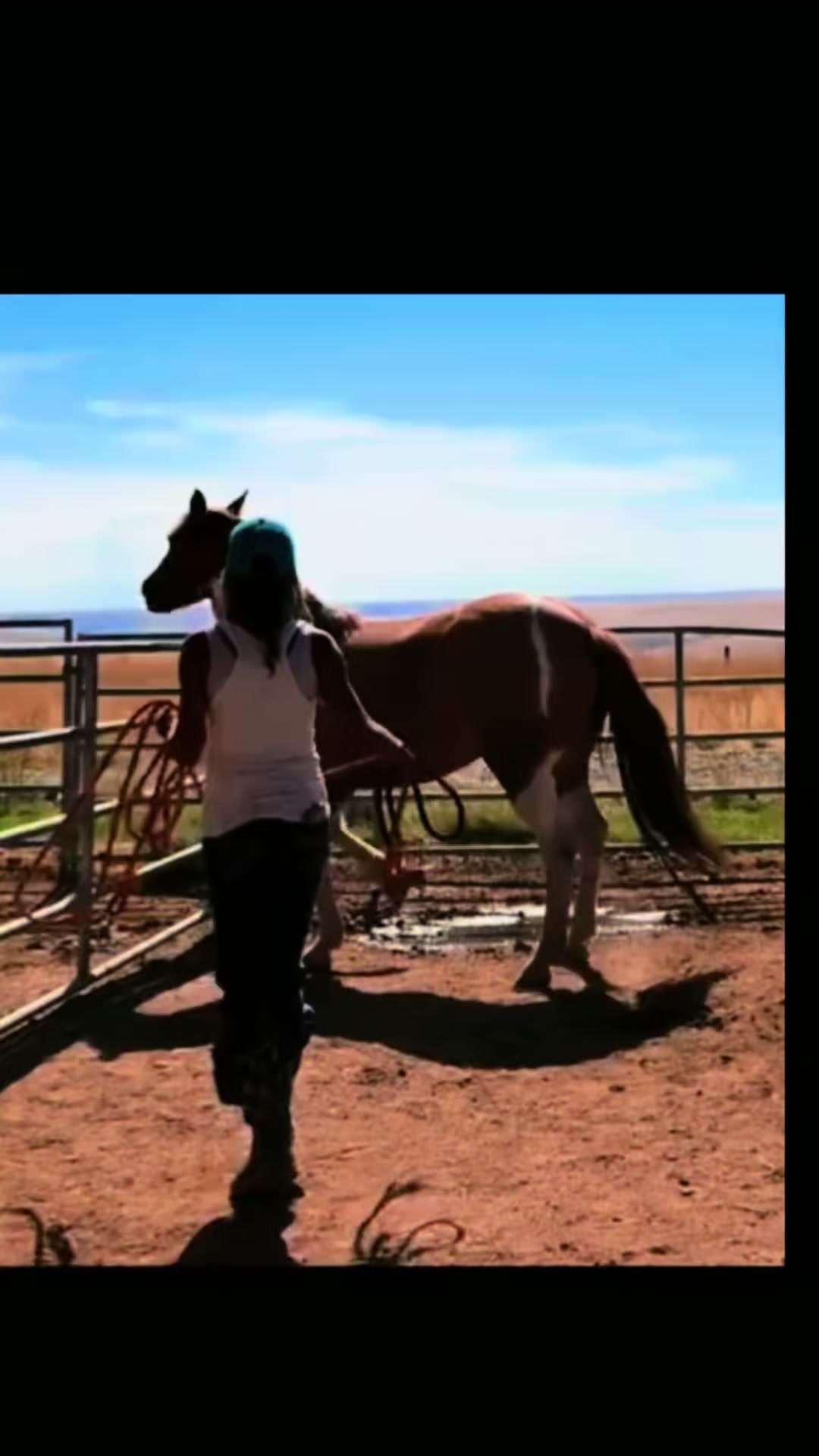 @Cowgirl Tuff Colt Training ❤️