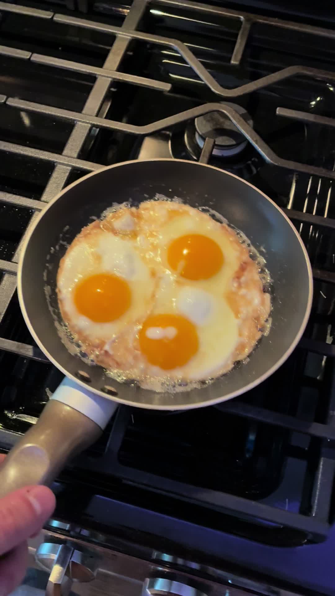 @Egg Sheeran