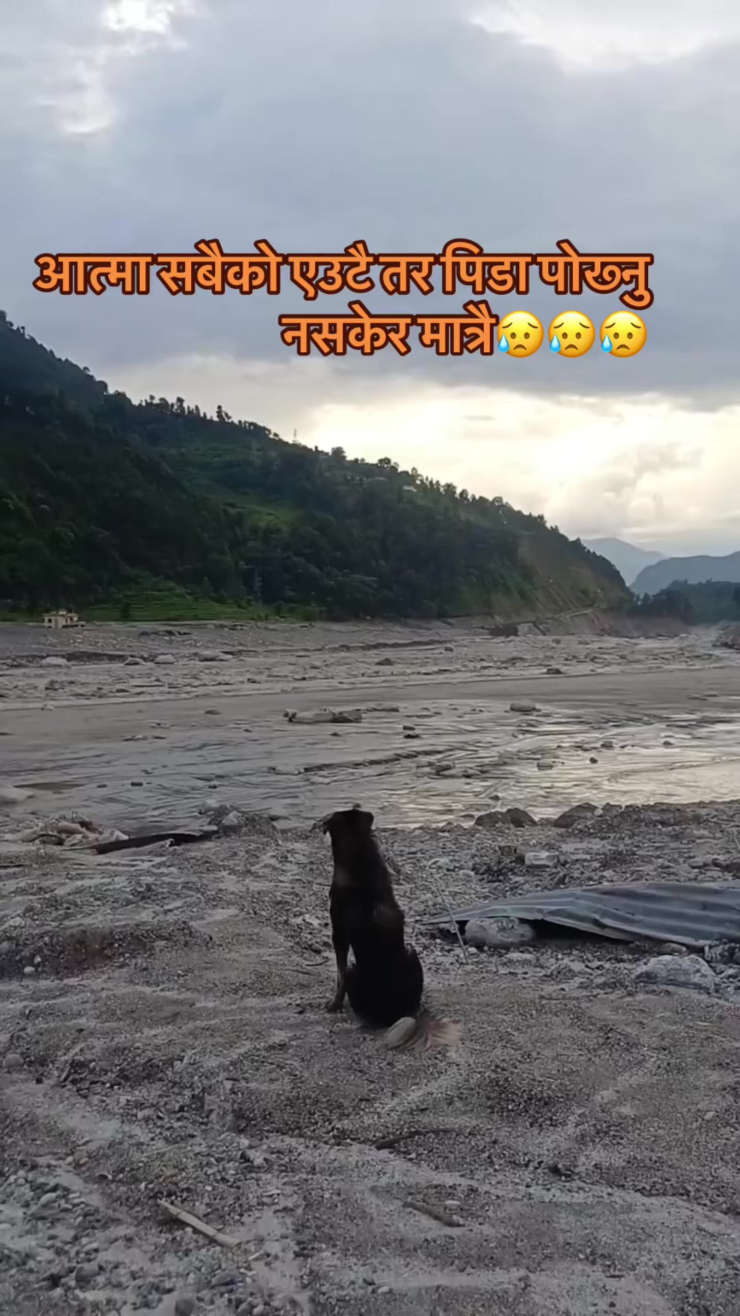 @Yonjan gyanu