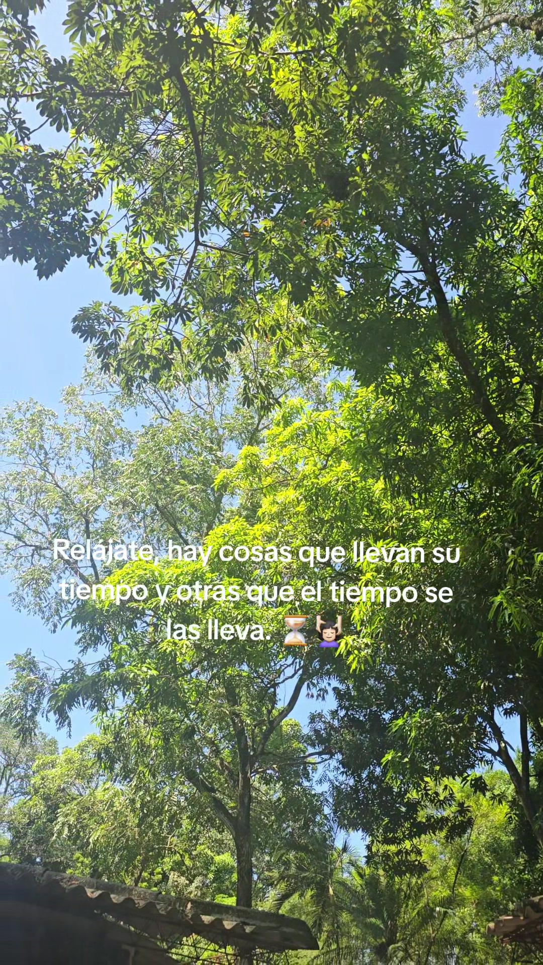 @✨️ MELANY ARGUETT ✨️
