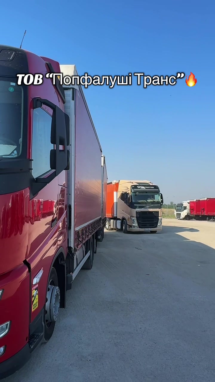 @Анеліна☑️