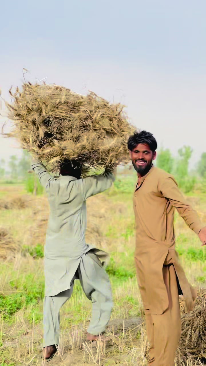 @Amir Ali0007