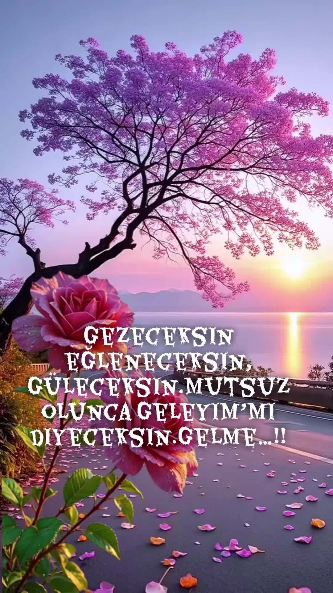 @Buzbeyi