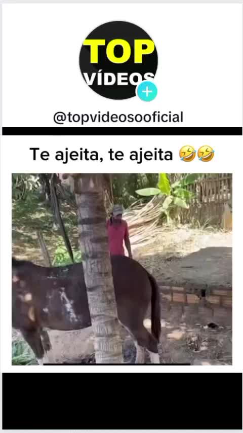 @TOP VIDEOS