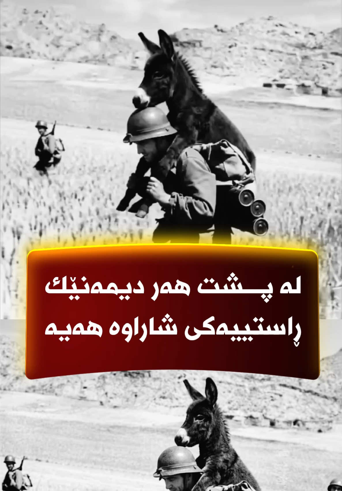 @🎤📺 𓆩جیگر هەركی𓆪 Journalist
