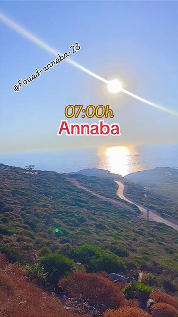 @Fouad-Annaba-23-🇩🇿