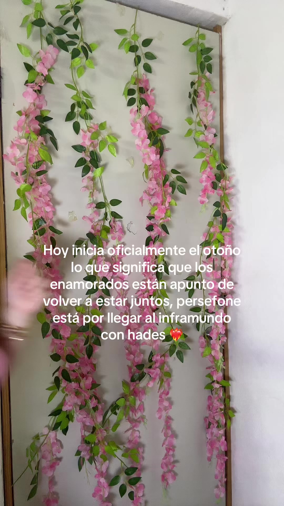 @venus🎀🦢