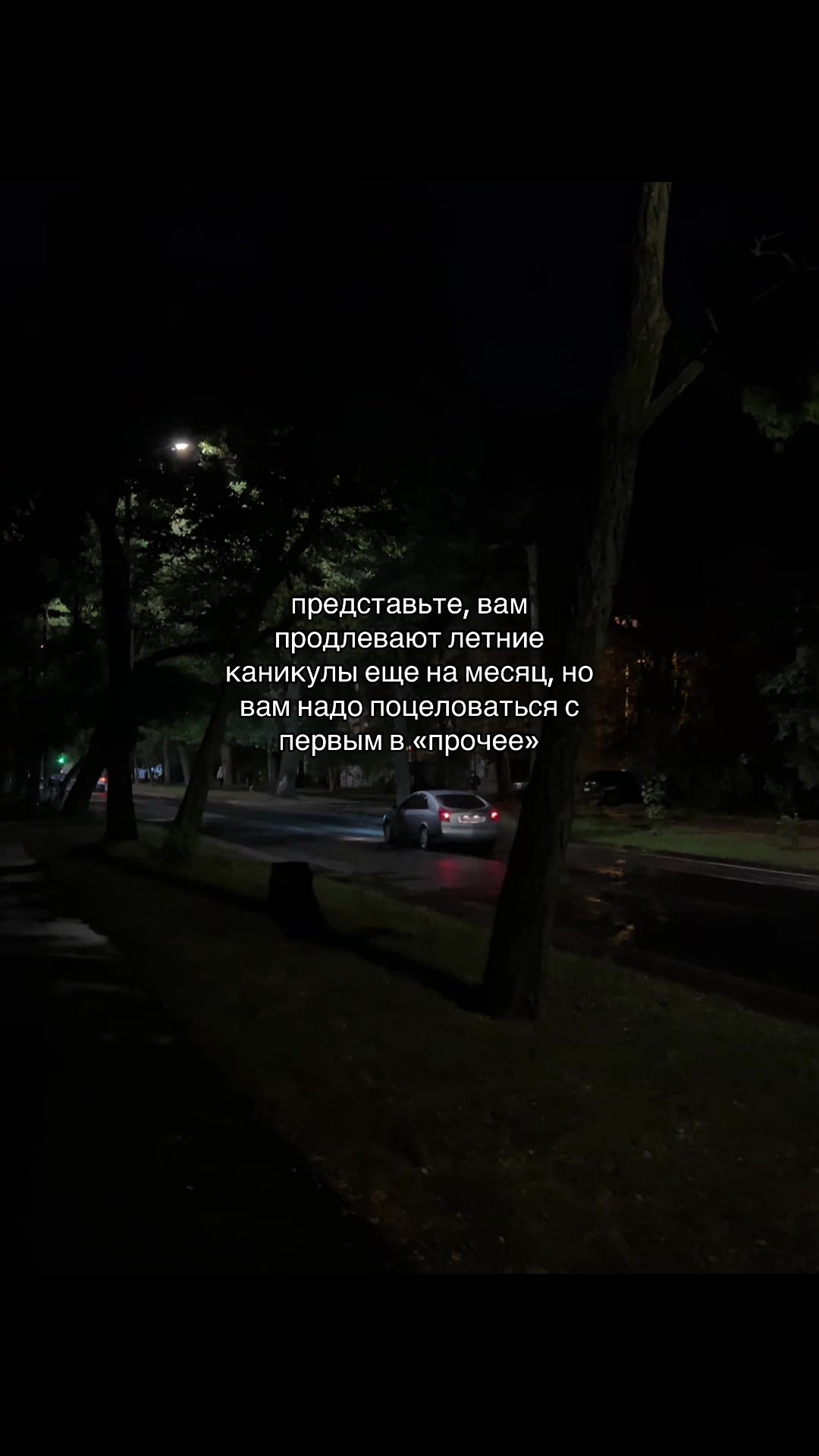 @мур мур 🐾