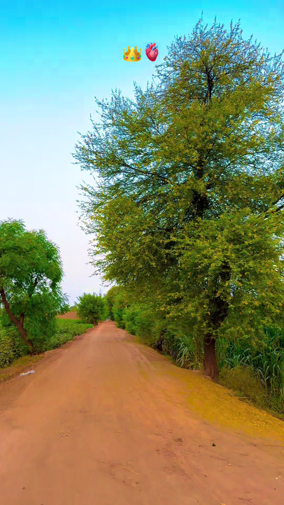 @پنجابی کلچر 🌾🍂