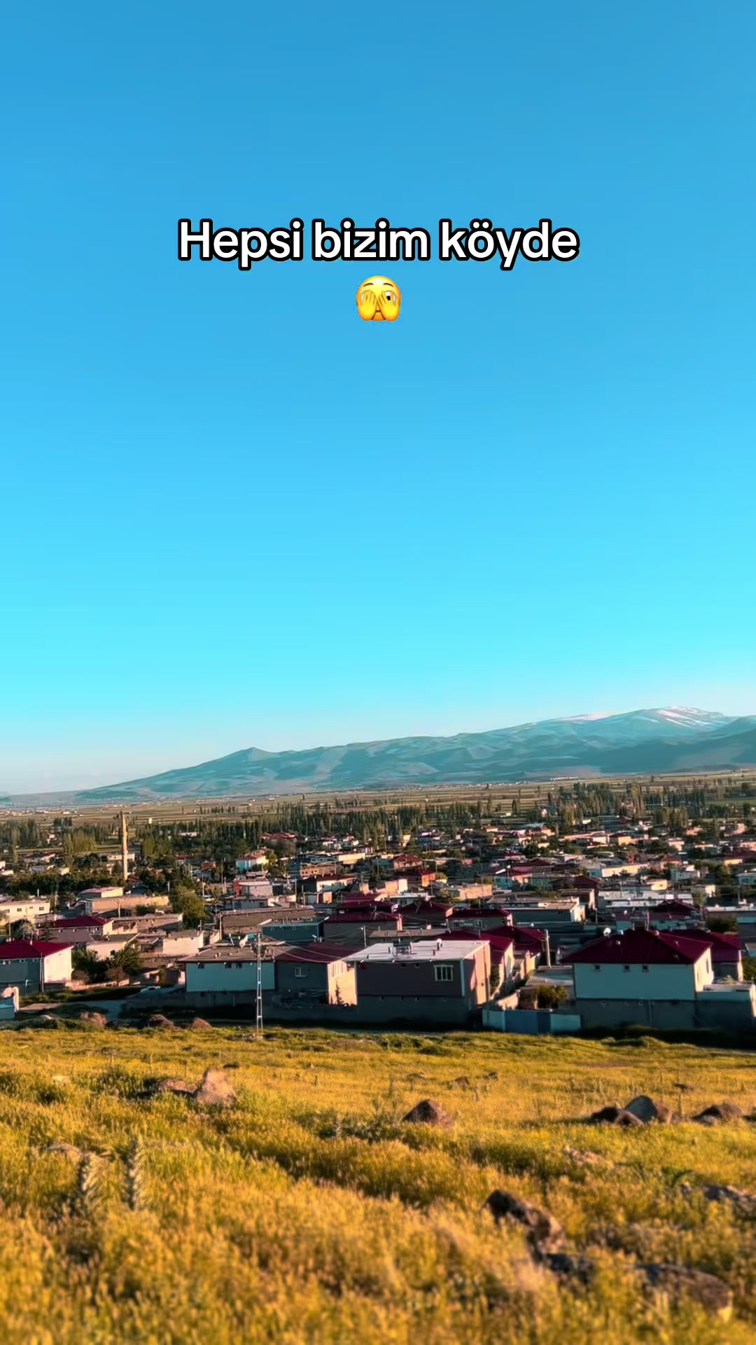 @★𝐴𝐿𝐸𝑌𝑁𝐴★