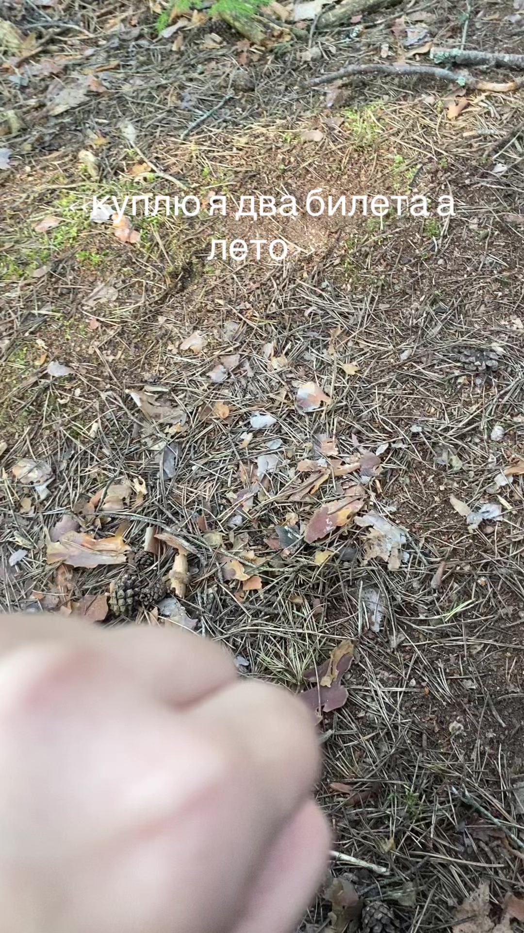 @🩶