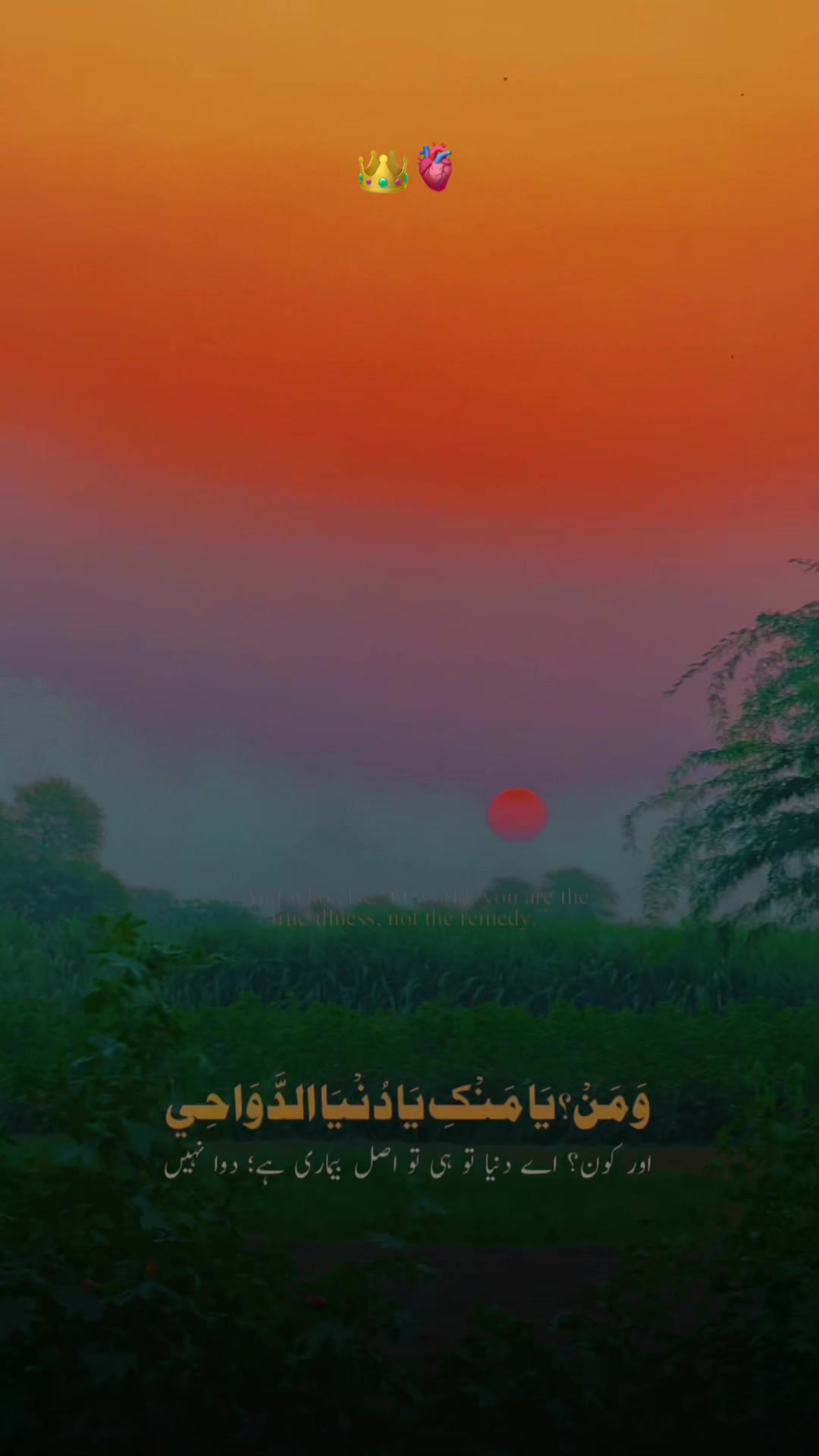 @پنجابی کلچر 🌾🍂