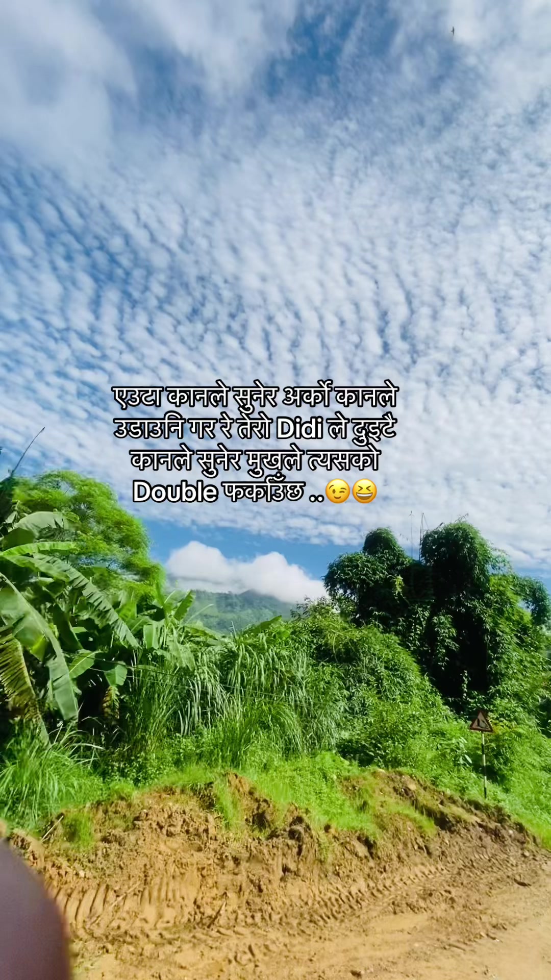 @🍃