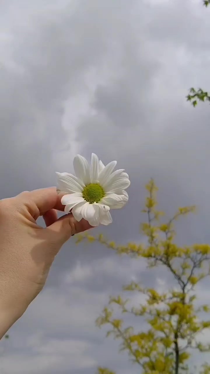 @sopnokomary