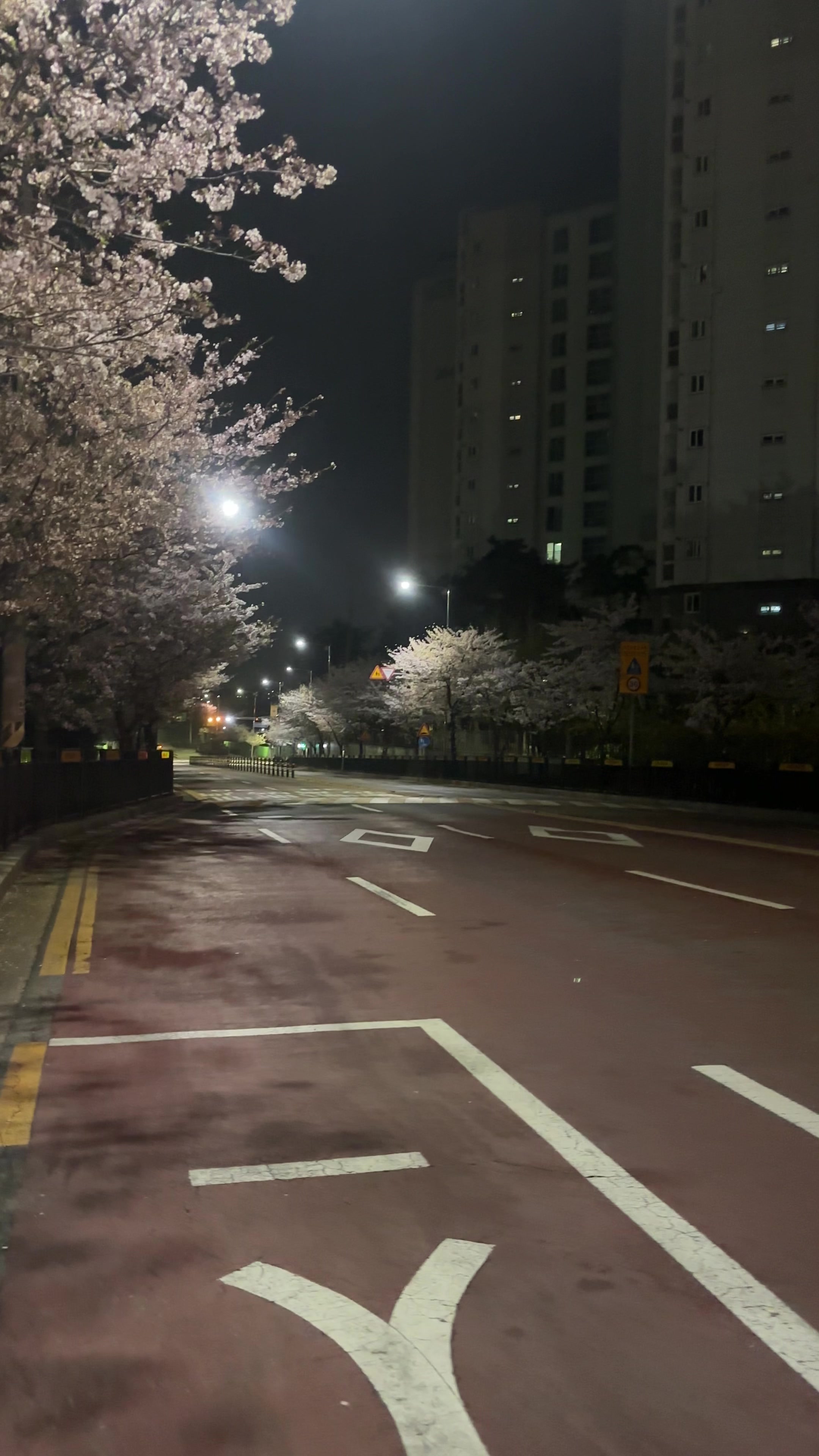@맹채연