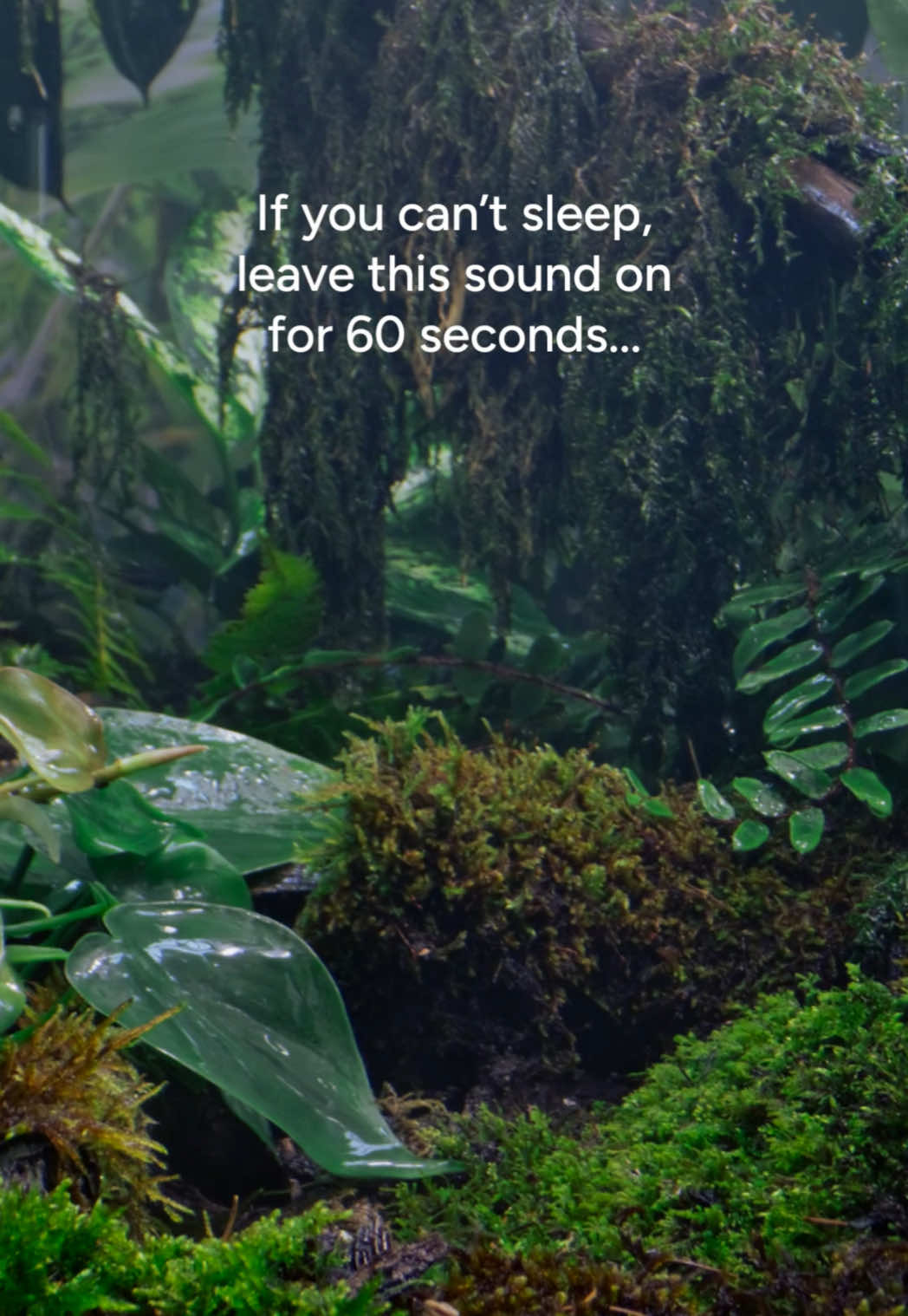 @Calm