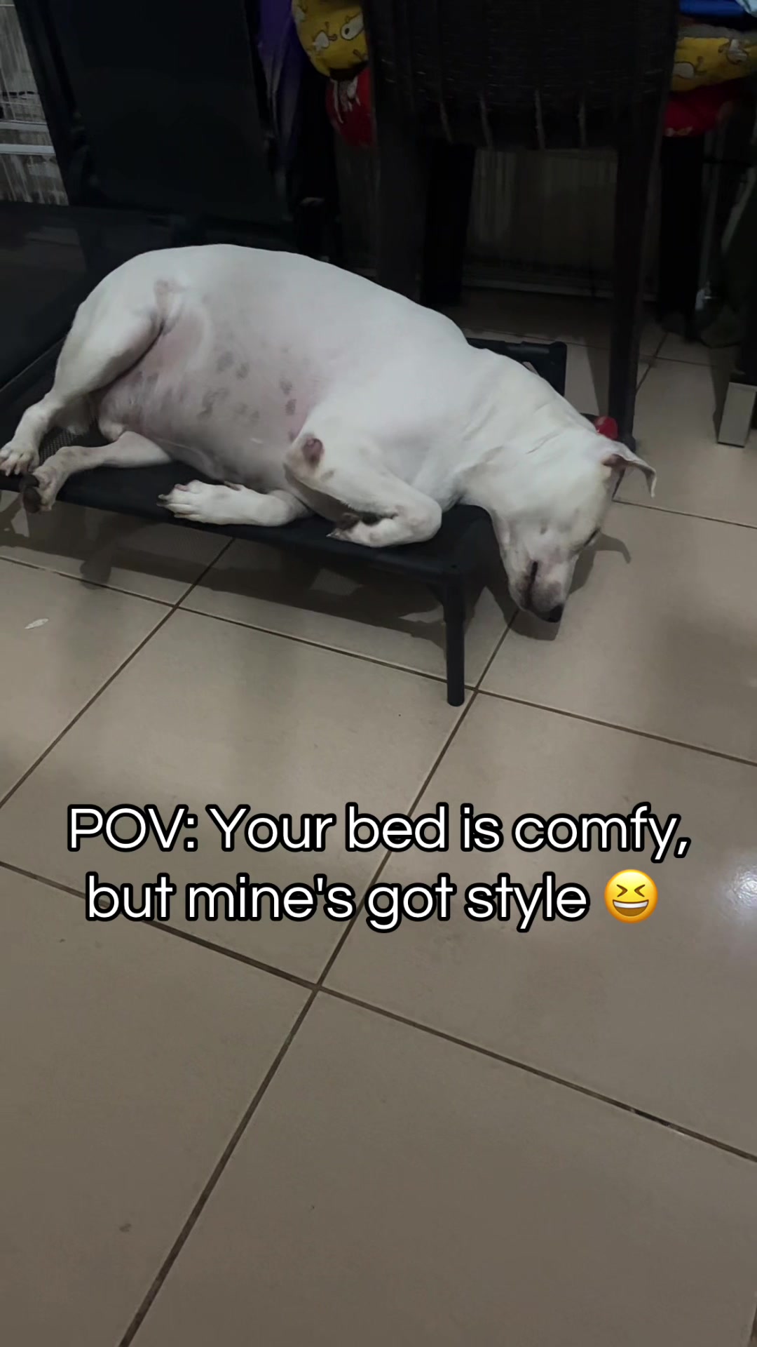 @Joy Cee