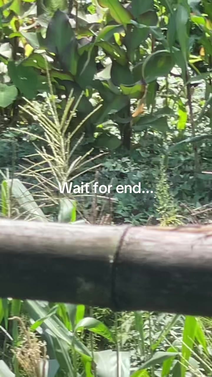 @नखावा कृषि