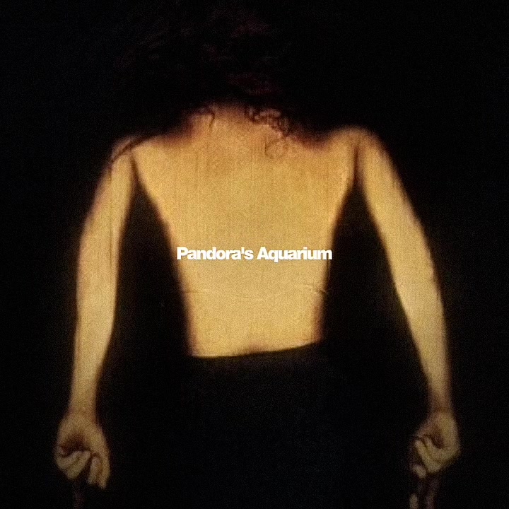 @✷ 𝐷𝑟𝑜𝑤𝑛𝑒𝑑