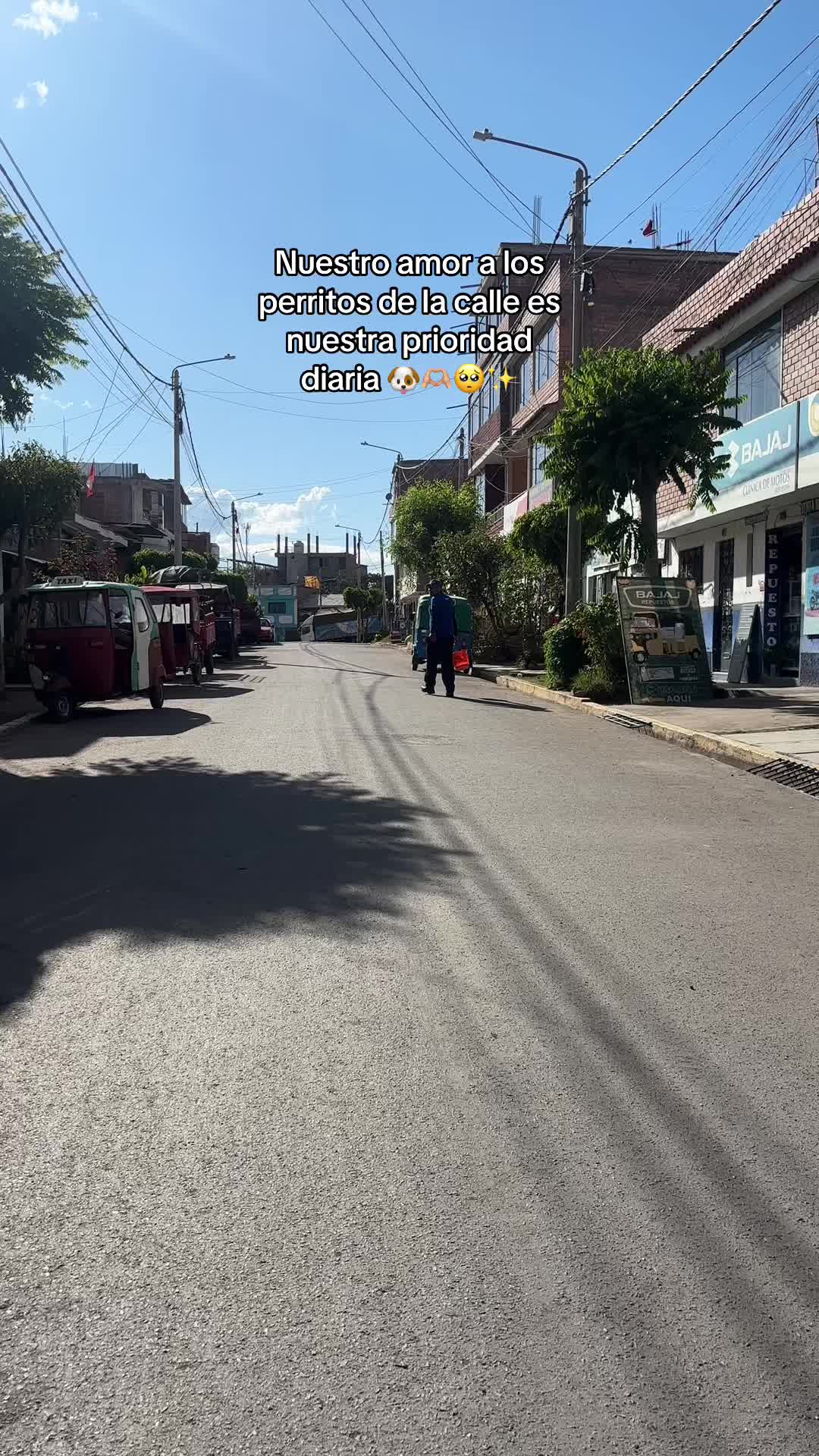 @Cabezotas 🐶
