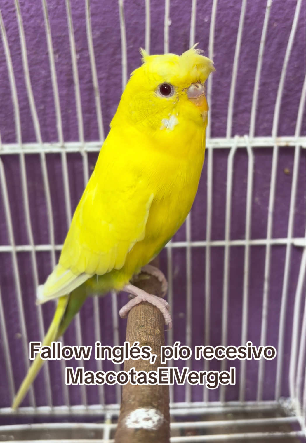 @Saul Briones