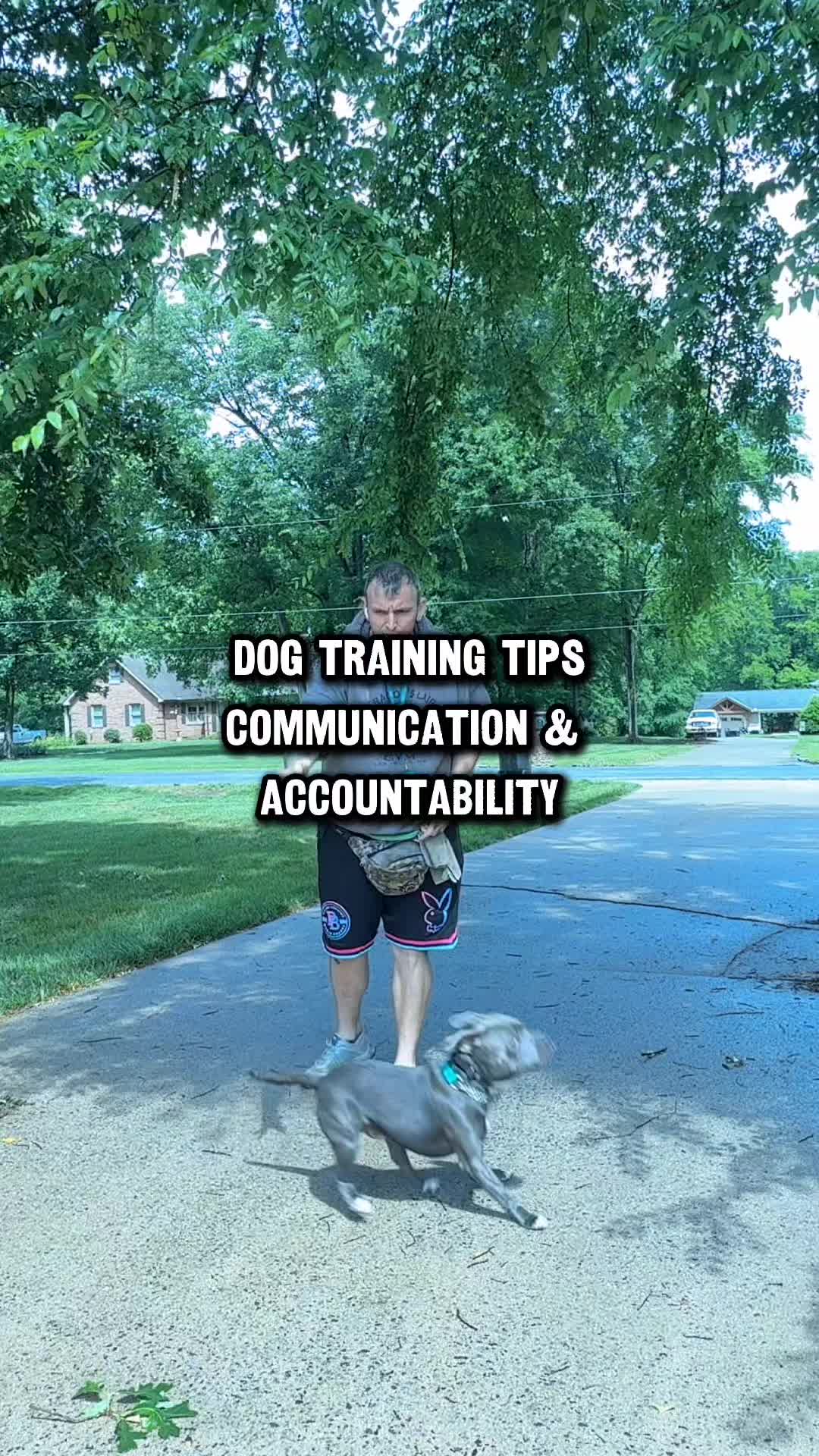 @Lost Boys K9 Academy