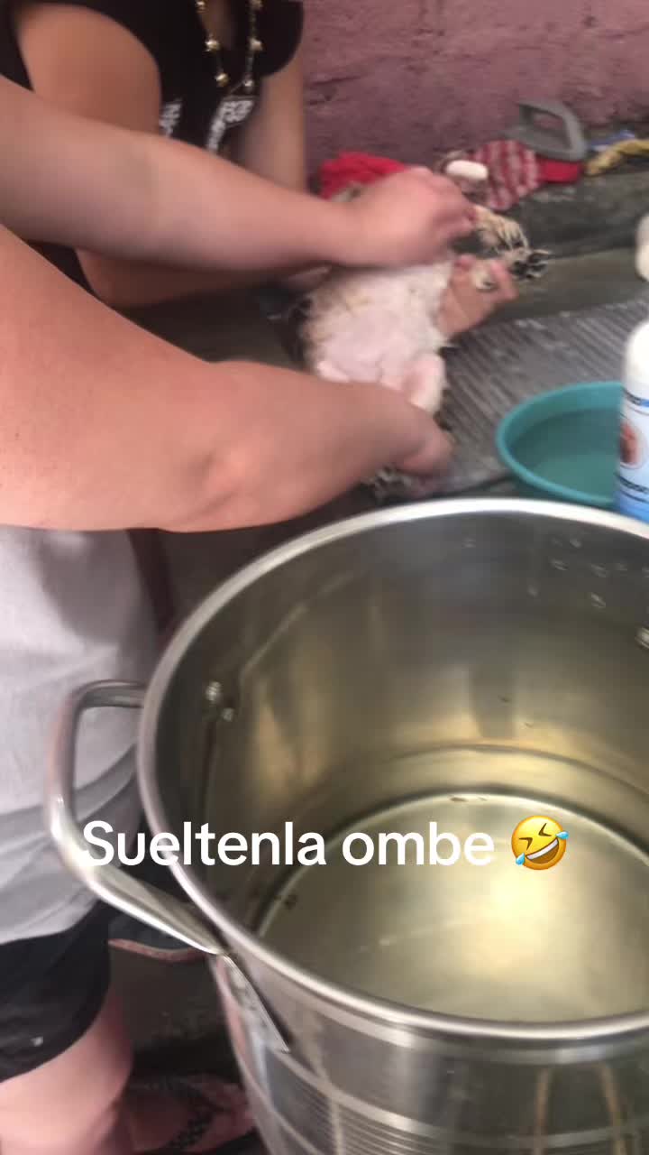 @elderponce10