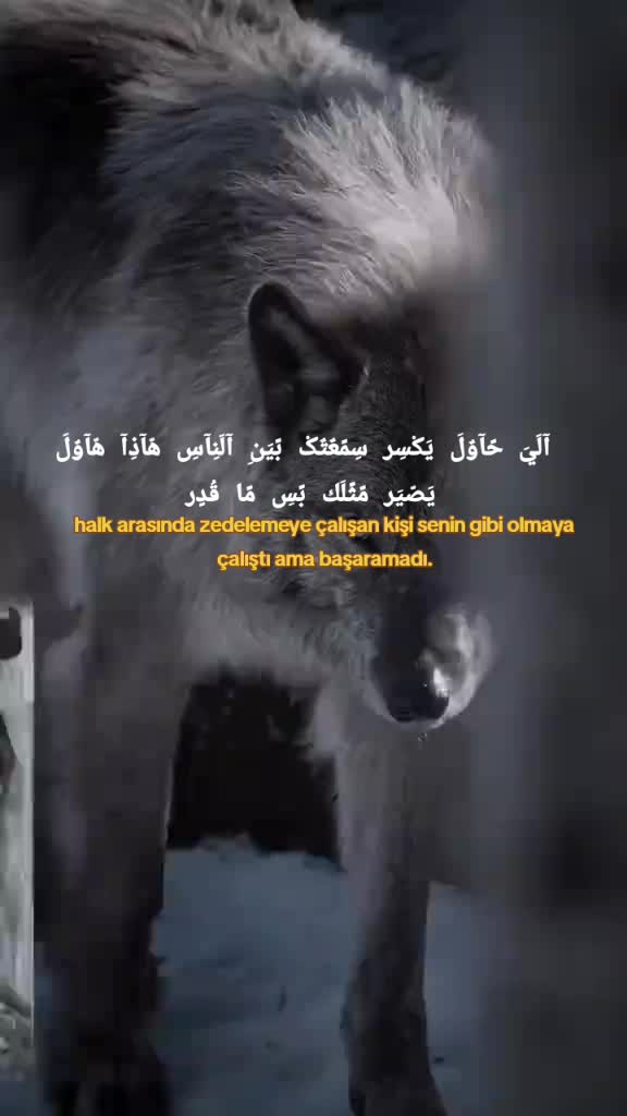 @آثًيَر آلَرکْآوٌيَ 👽