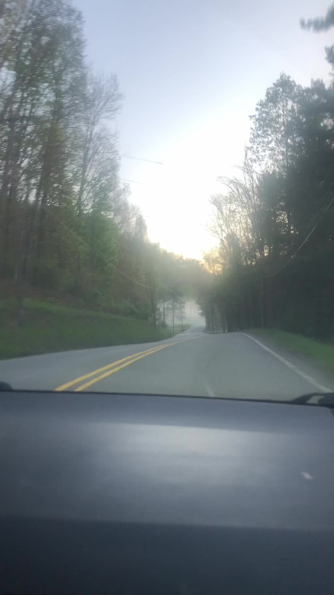 @robinfrazier40