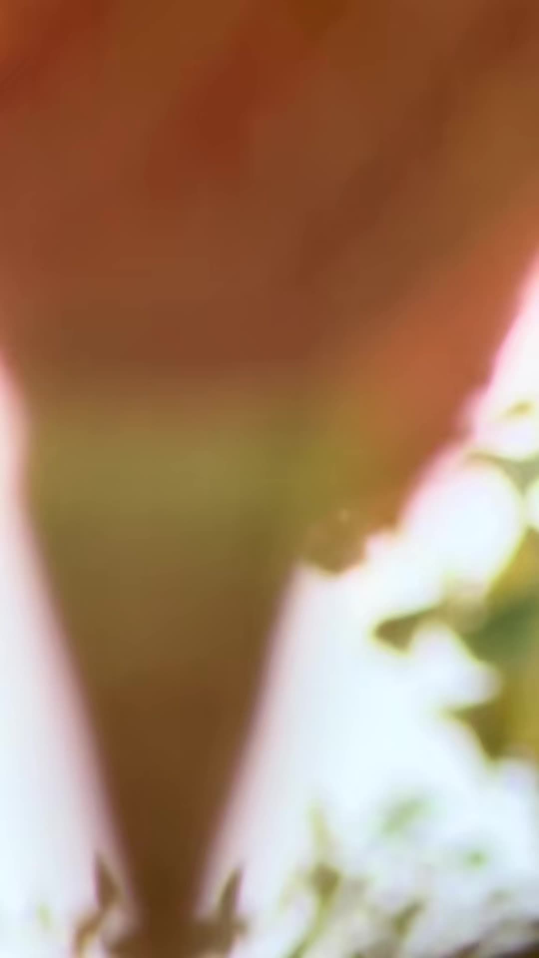 @brocenglund