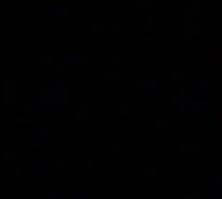 @Znalce