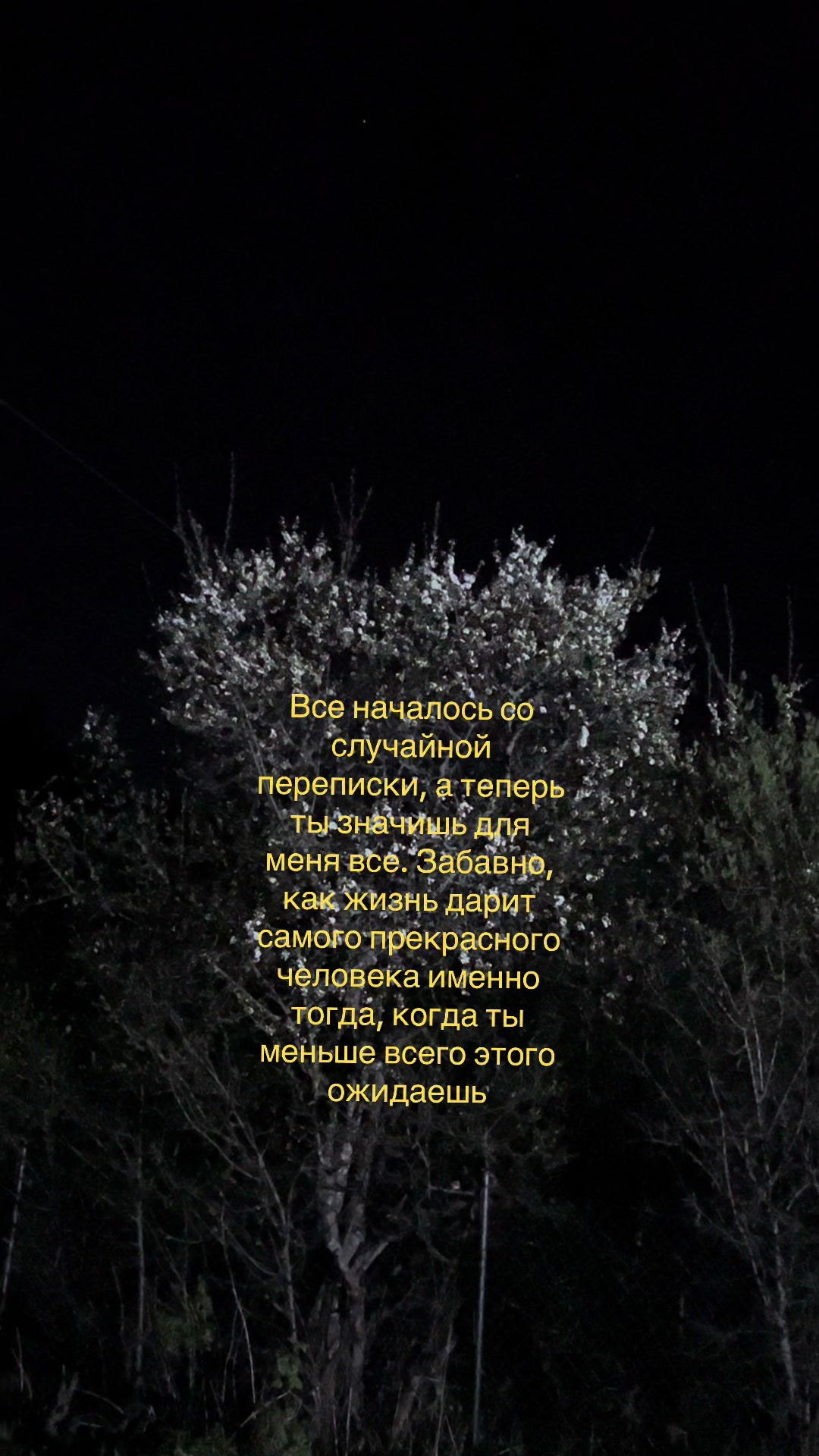 @Данька