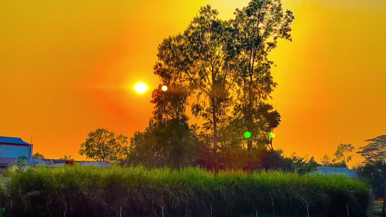 @ প্রকৃতি প্রেমিক সাইমন 🍃