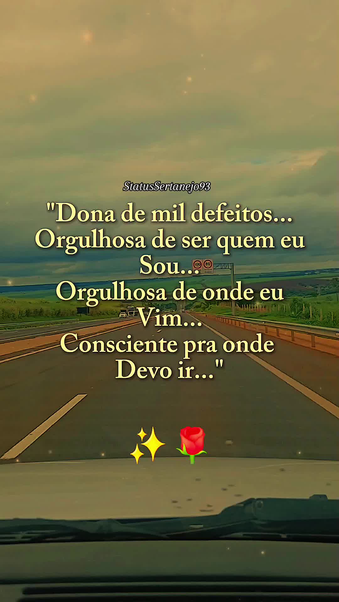 @StatusSertanejo93