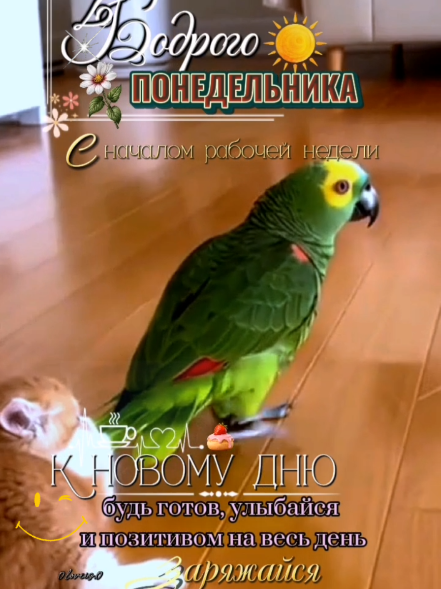 @💐