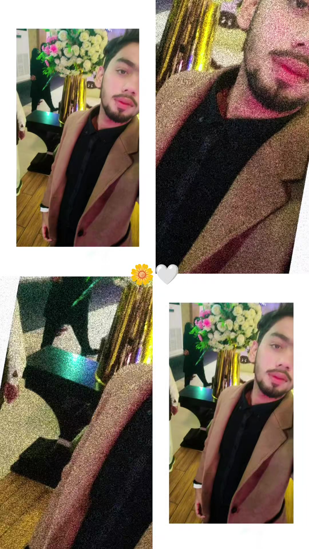 @ℝ𝕠𝕪𝕒𝕝 𝕎𝔸ℝ𝕀𝕊_1👑
